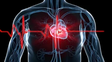 مكمل غذائي شائع يرفع خطر الإصابة بقصور القلب بنسبة 89% خلال خمس سنوات دراسة جديدة